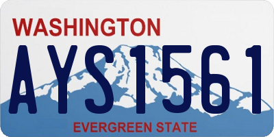 WA license plate AYS1561