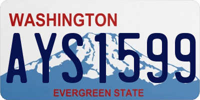WA license plate AYS1599