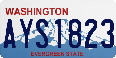 WA license plate AYS1823