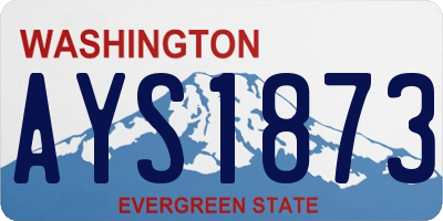 WA license plate AYS1873
