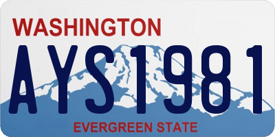 WA license plate AYS1981