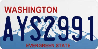 WA license plate AYS2991