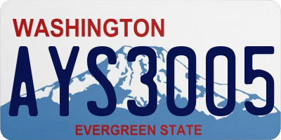 WA license plate AYS3005