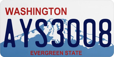 WA license plate AYS3008