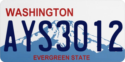 WA license plate AYS3012