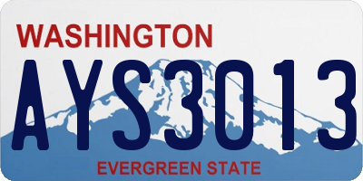 WA license plate AYS3013