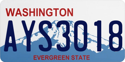 WA license plate AYS3018