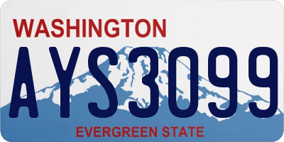 WA license plate AYS3099