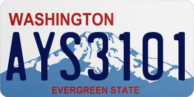 WA license plate AYS3101