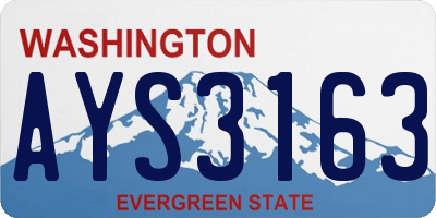 WA license plate AYS3163