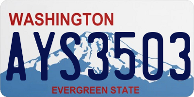 WA license plate AYS3503