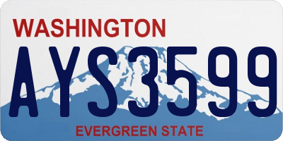 WA license plate AYS3599