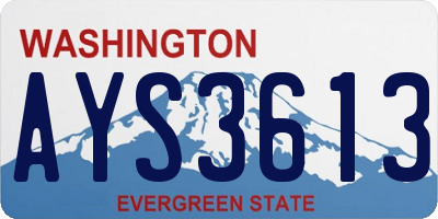 WA license plate AYS3613
