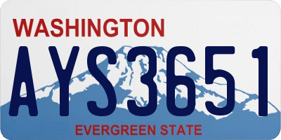 WA license plate AYS3651