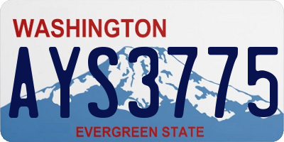 WA license plate AYS3775