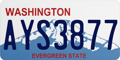 WA license plate AYS3877