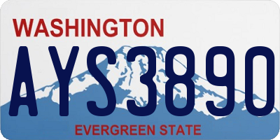 WA license plate AYS3890