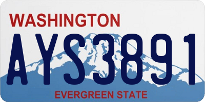 WA license plate AYS3891