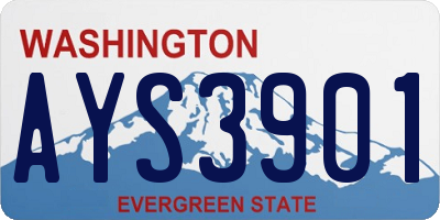 WA license plate AYS3901