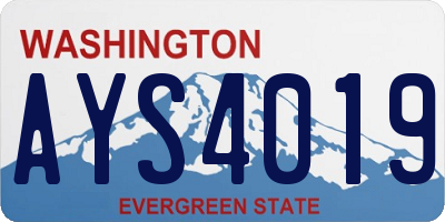 WA license plate AYS4019