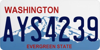 WA license plate AYS4239