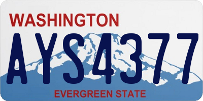 WA license plate AYS4377