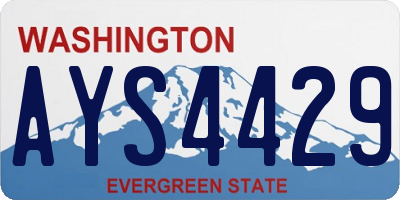 WA license plate AYS4429