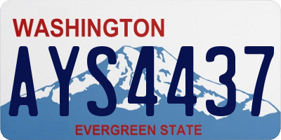 WA license plate AYS4437