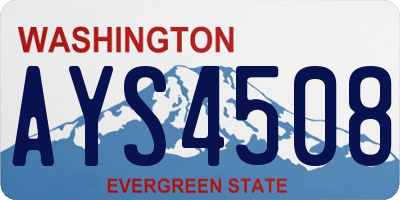 WA license plate AYS4508