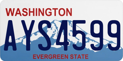 WA license plate AYS4599