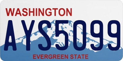 WA license plate AYS5099