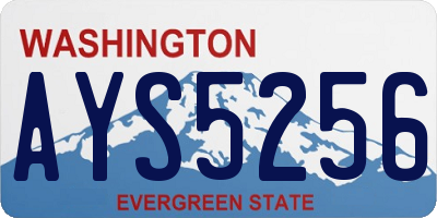 WA license plate AYS5256