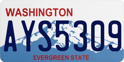 WA license plate AYS5309