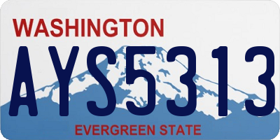 WA license plate AYS5313