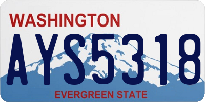 WA license plate AYS5318