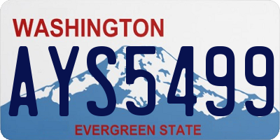 WA license plate AYS5499