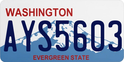 WA license plate AYS5603