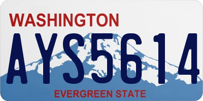 WA license plate AYS5614