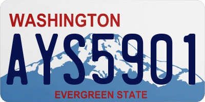 WA license plate AYS5901