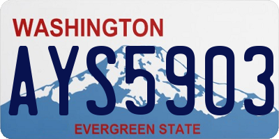 WA license plate AYS5903