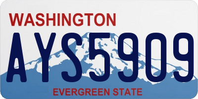 WA license plate AYS5909