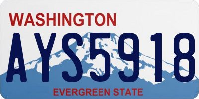 WA license plate AYS5918