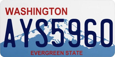 WA license plate AYS5960