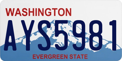 WA license plate AYS5981