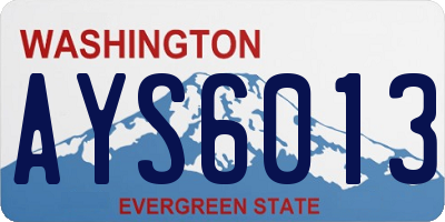 WA license plate AYS6013