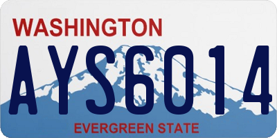 WA license plate AYS6014