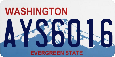 WA license plate AYS6016