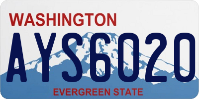 WA license plate AYS6020