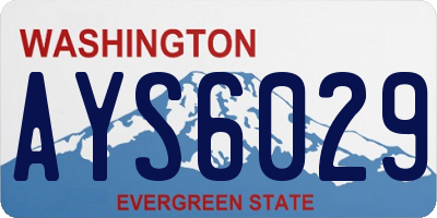 WA license plate AYS6029