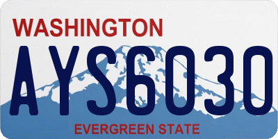 WA license plate AYS6030